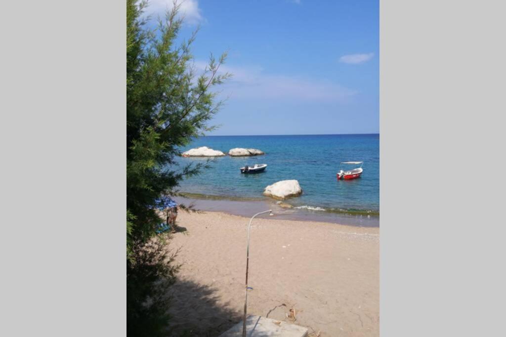 Stegna On Sea Apt Daire Archangelos  Dış mekan fotoğraf